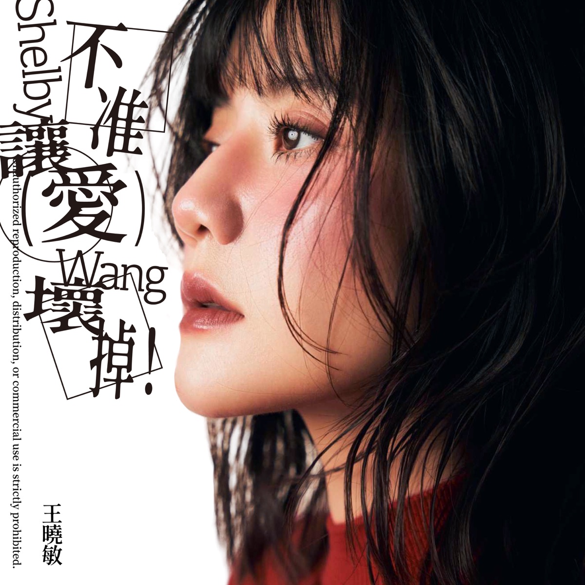 Shelby Wang - 不准讓愛壞掉.jpg