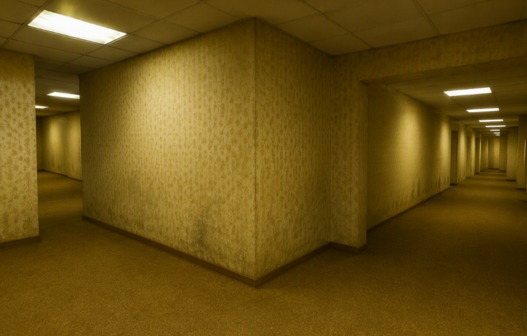 IMG_20260823_150506.jpg
