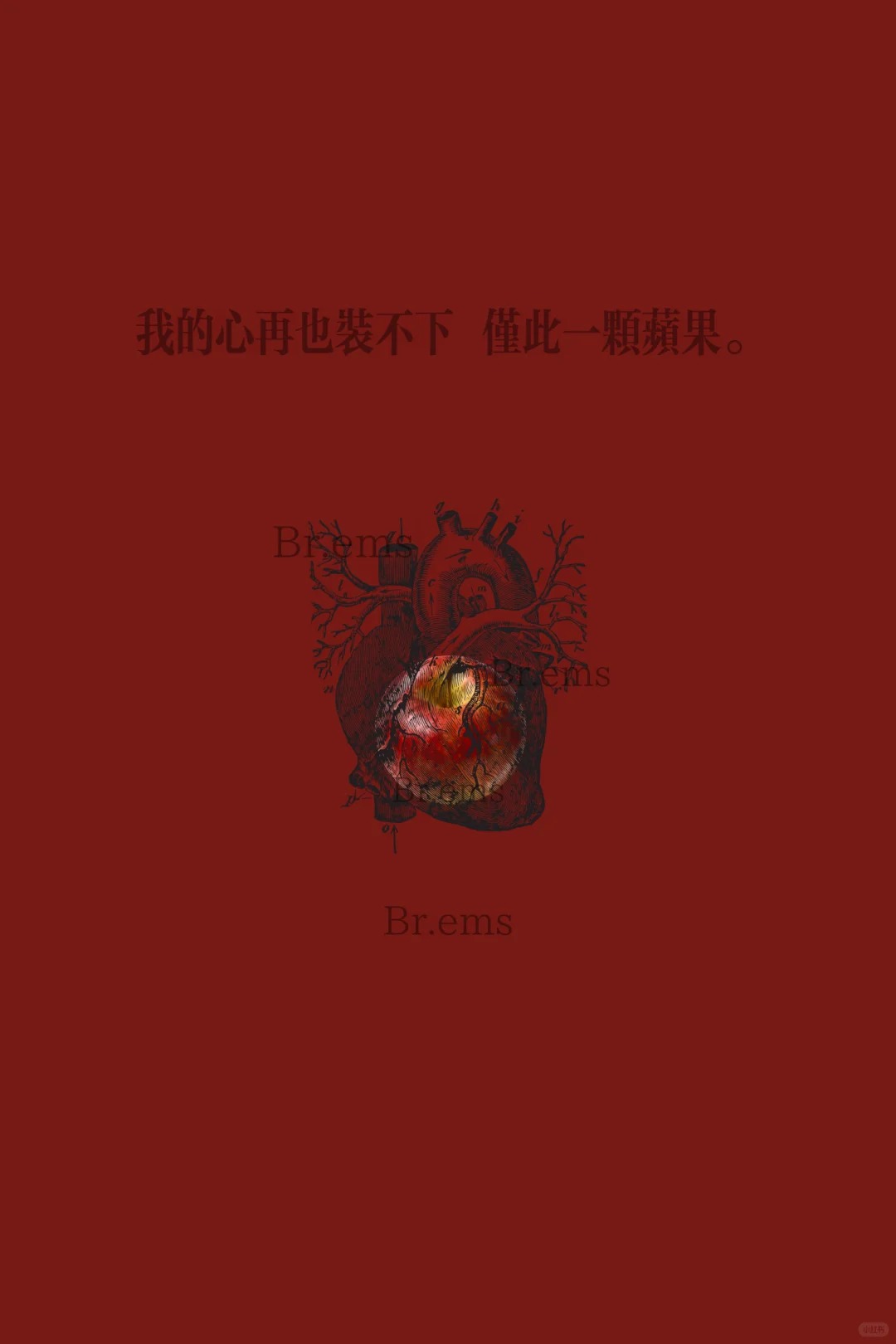 一颗苹果_1_799_来自小红书网页版.jpg