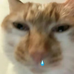 f7974431a3b5e9048aa75a0a65d6903ab825b01469fd34d73c5a68c19a6f5d74.0.JPEG