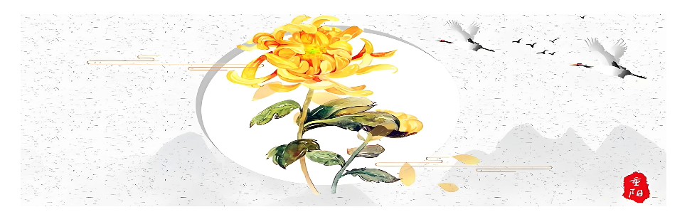 菊.png