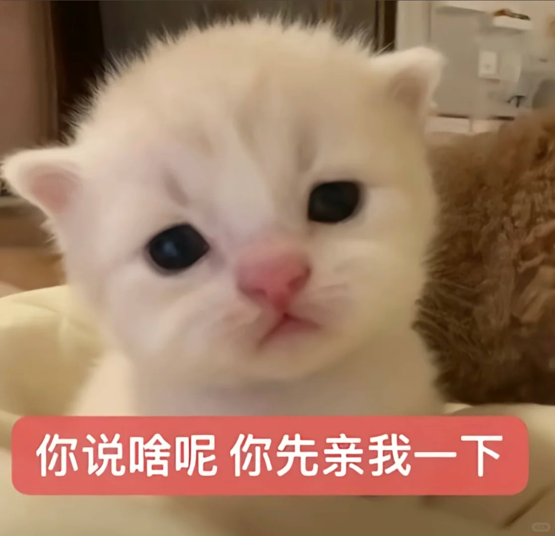1f0adc571aa44c6f858be62e58189383.png