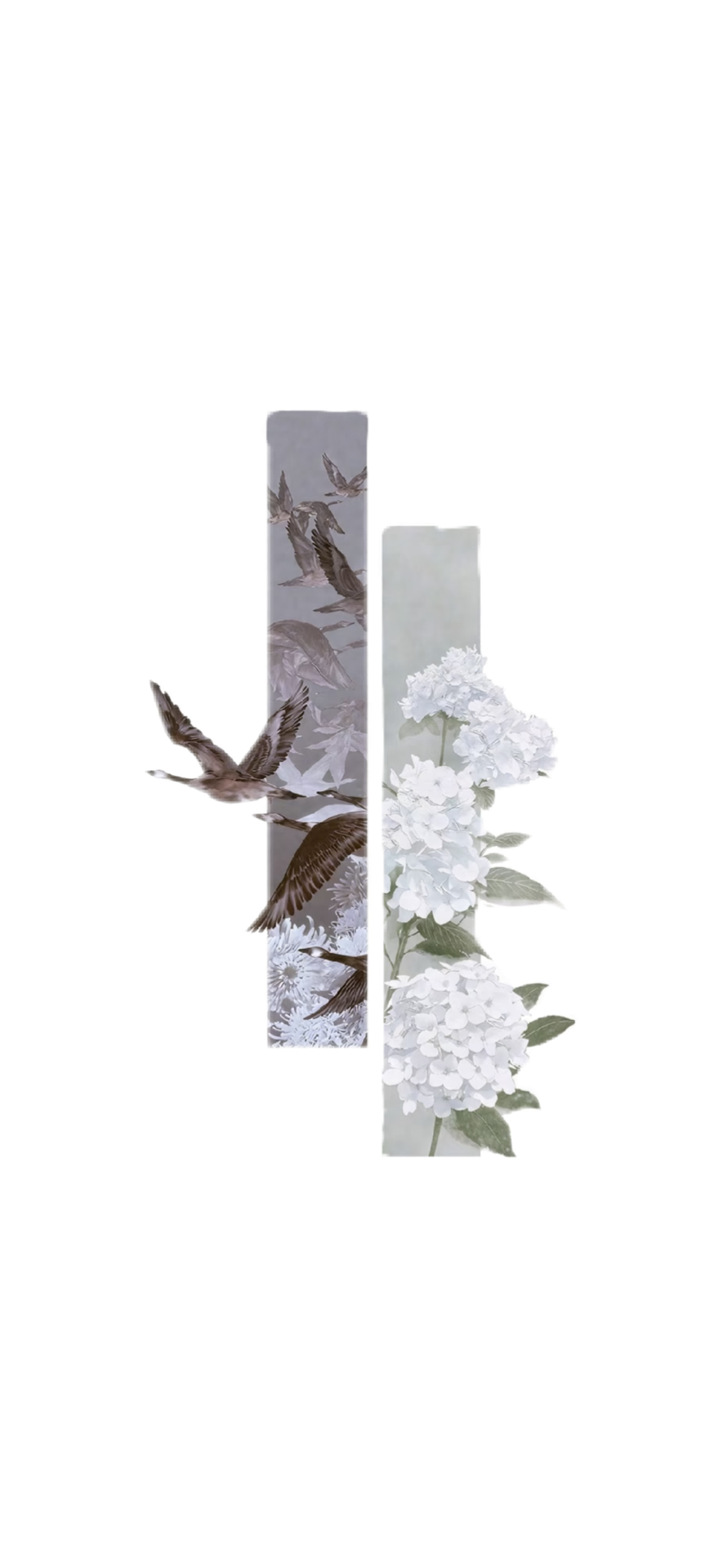Background Eraser.png