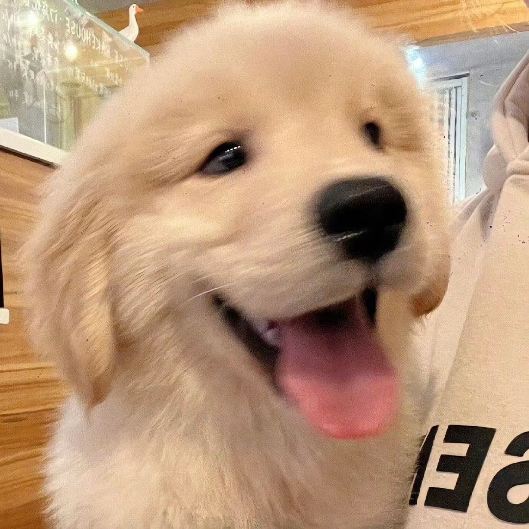 1787581893590.png