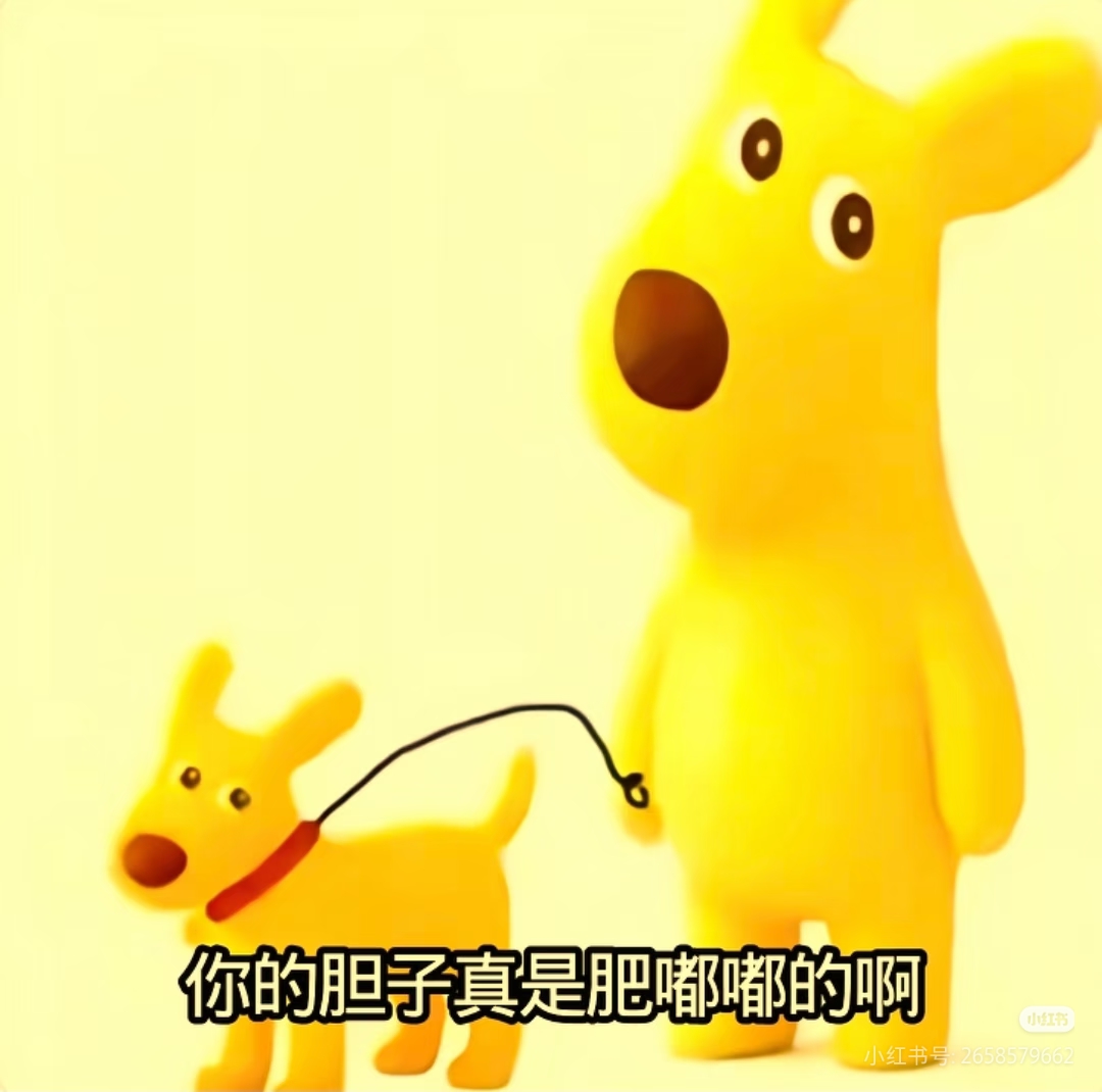 1000140441.jpg