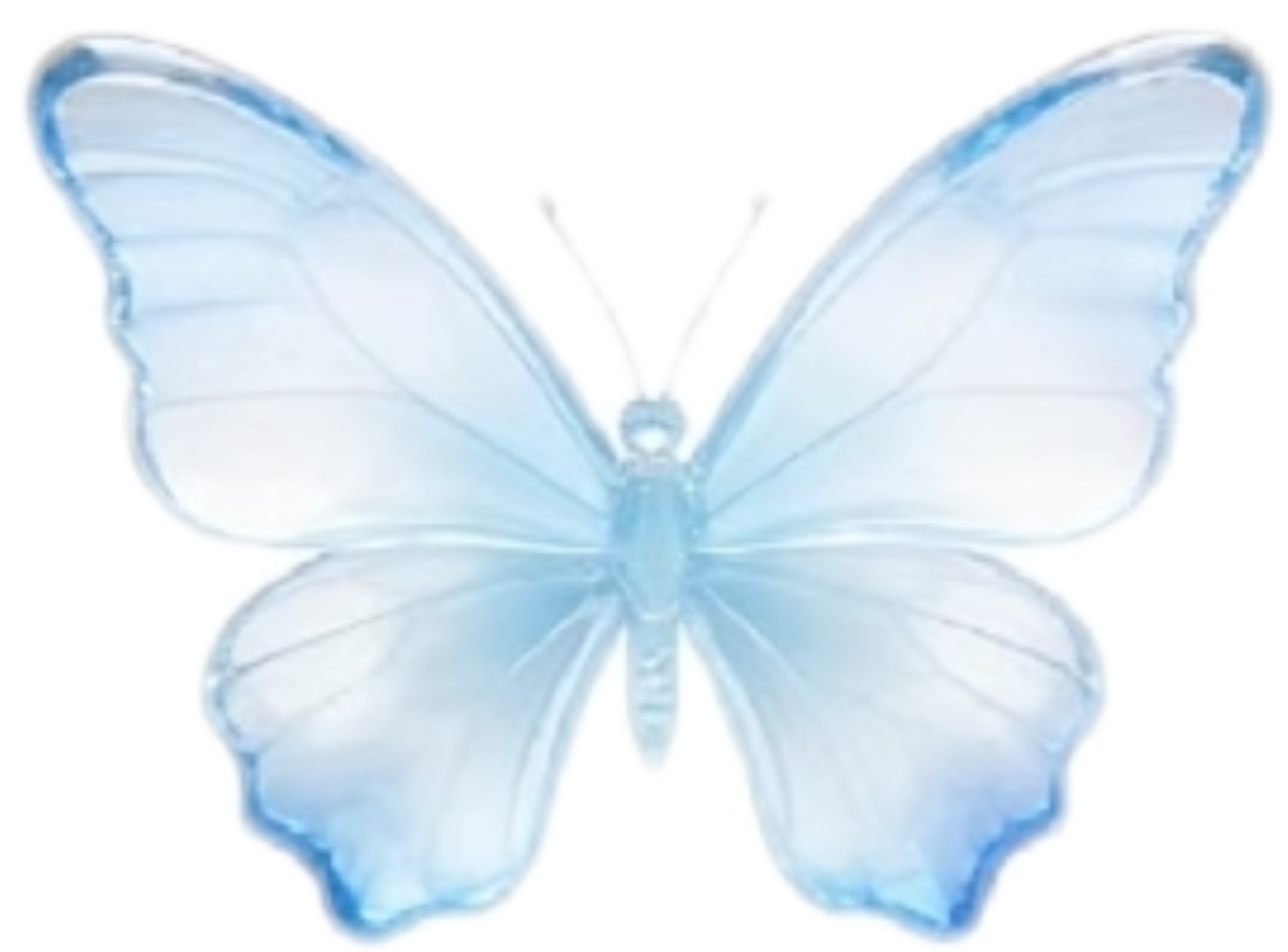 Image_1787517973297_628.png