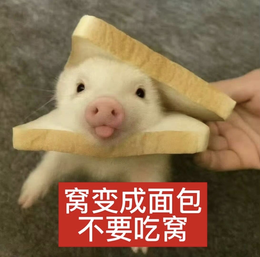 1786366840972.png