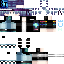 皮肤.png
