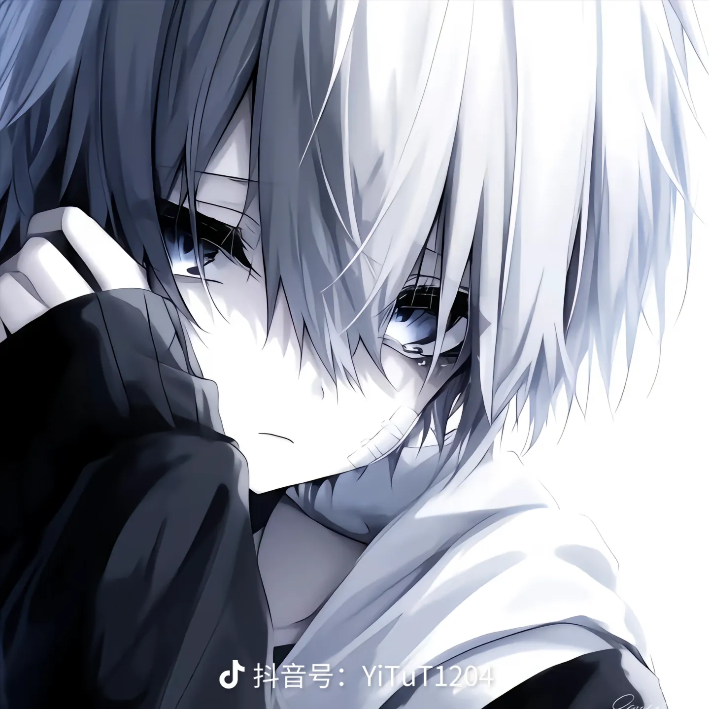 share_2377a2be4e62215b26c48dd03809acc0.png