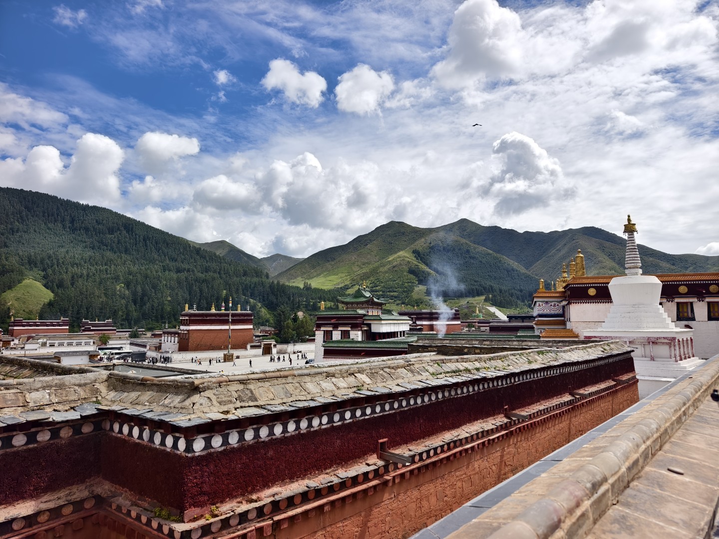 IMG_20260818_150749 (大).jpg
