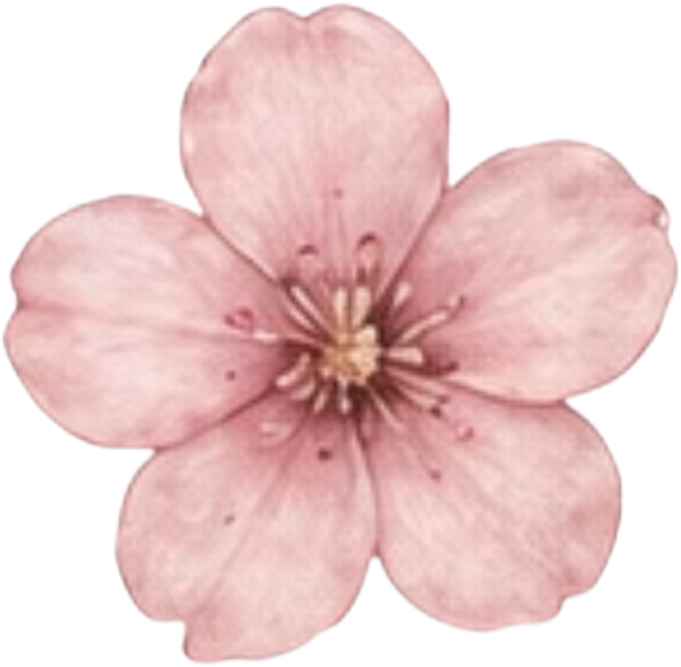IMG_0751.png