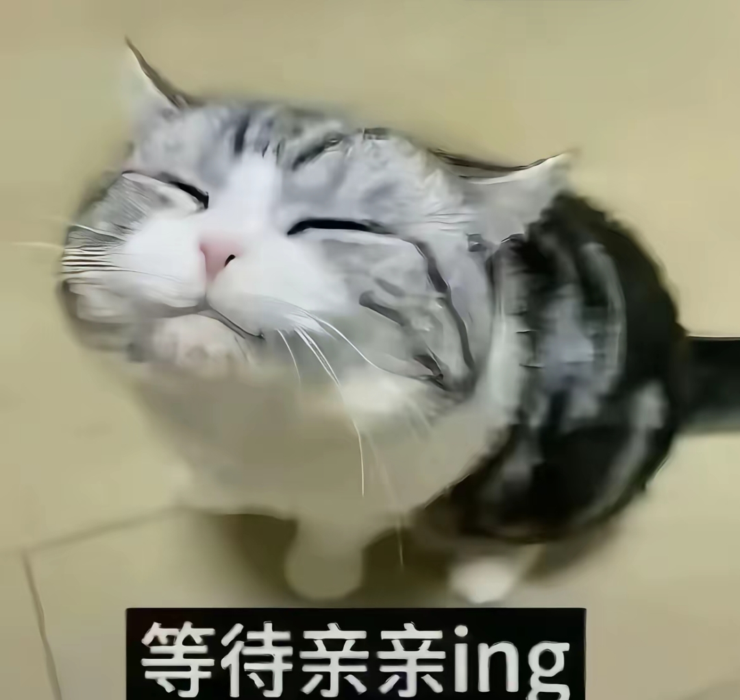 1000081558.jpg