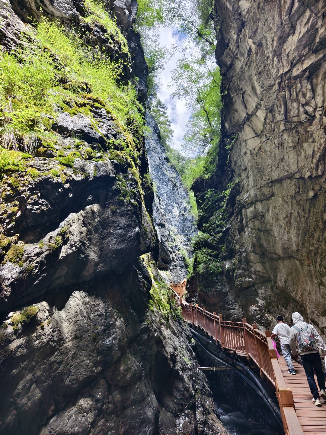 IMG_20260820_122205 (大).jpg