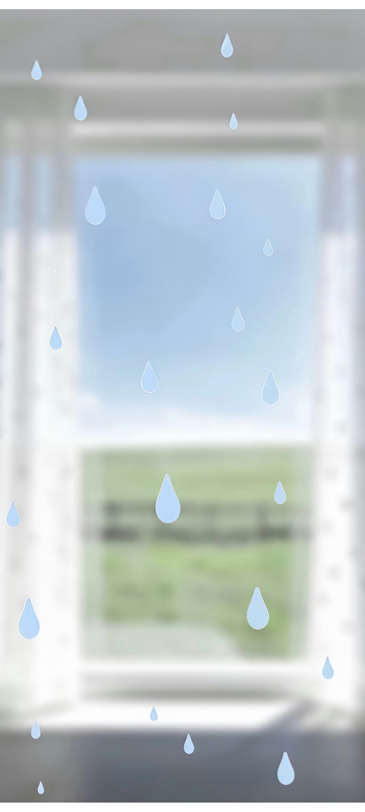 1000113562.png