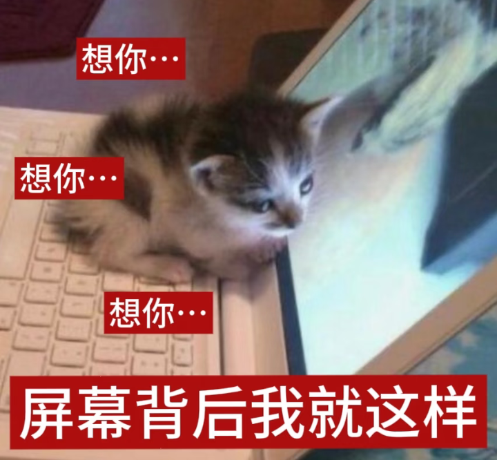 Screenshot_2026_0825_143348.png