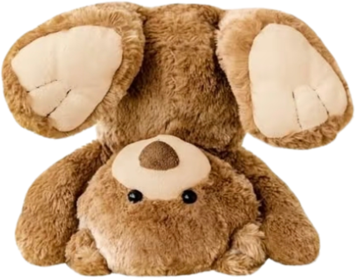 1000047545.png