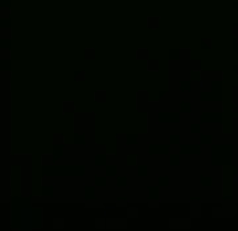 IMG_1998.jpeg