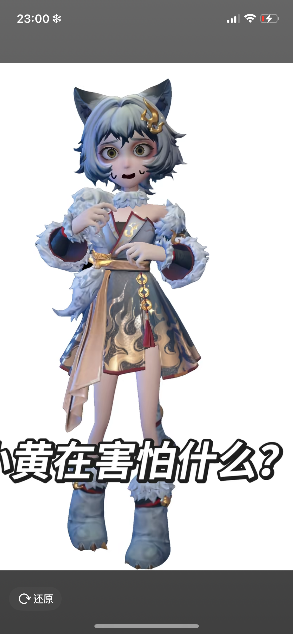 IMG_6307.png