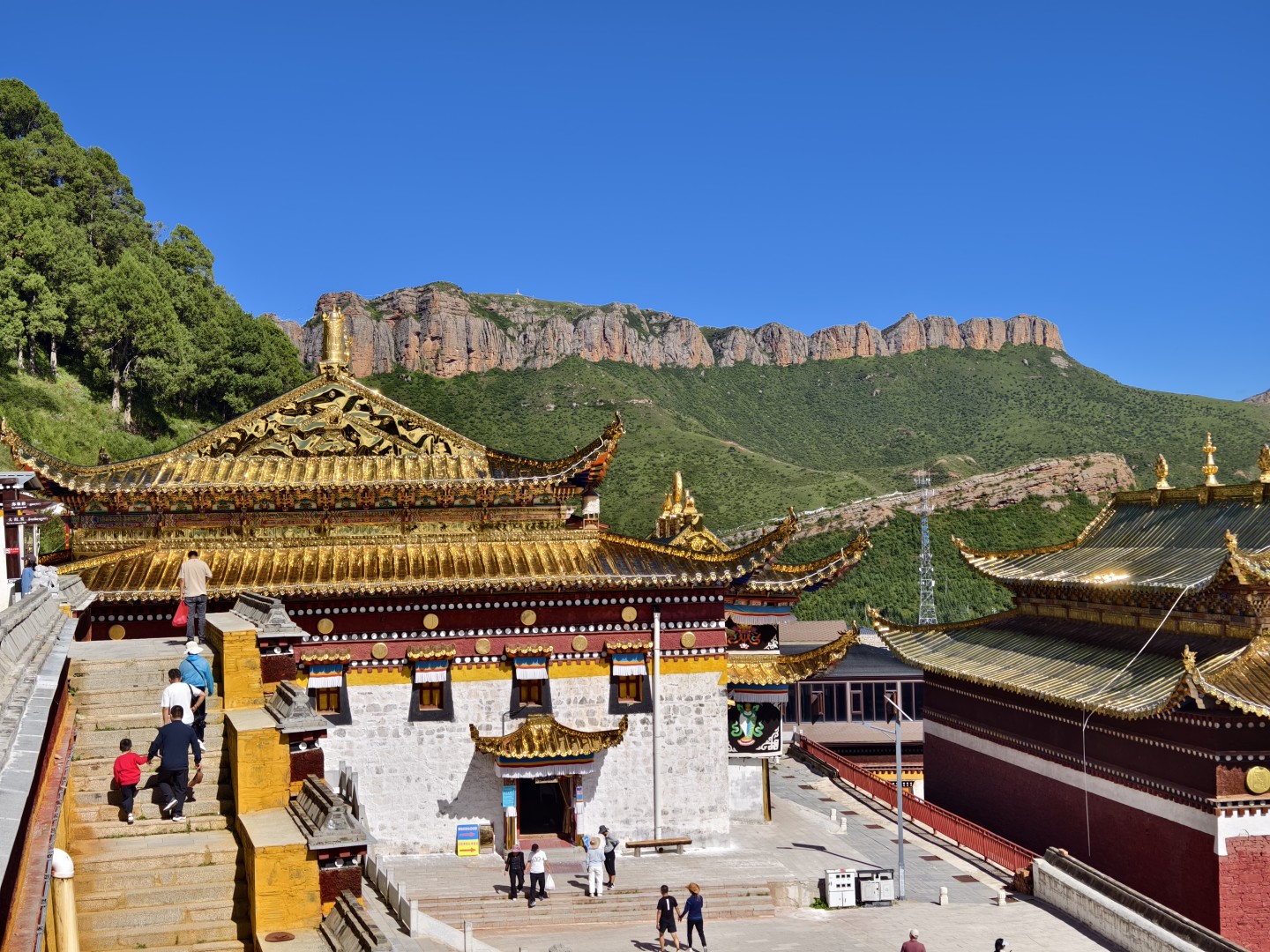 IMG_20260819_161047 (大).jpg