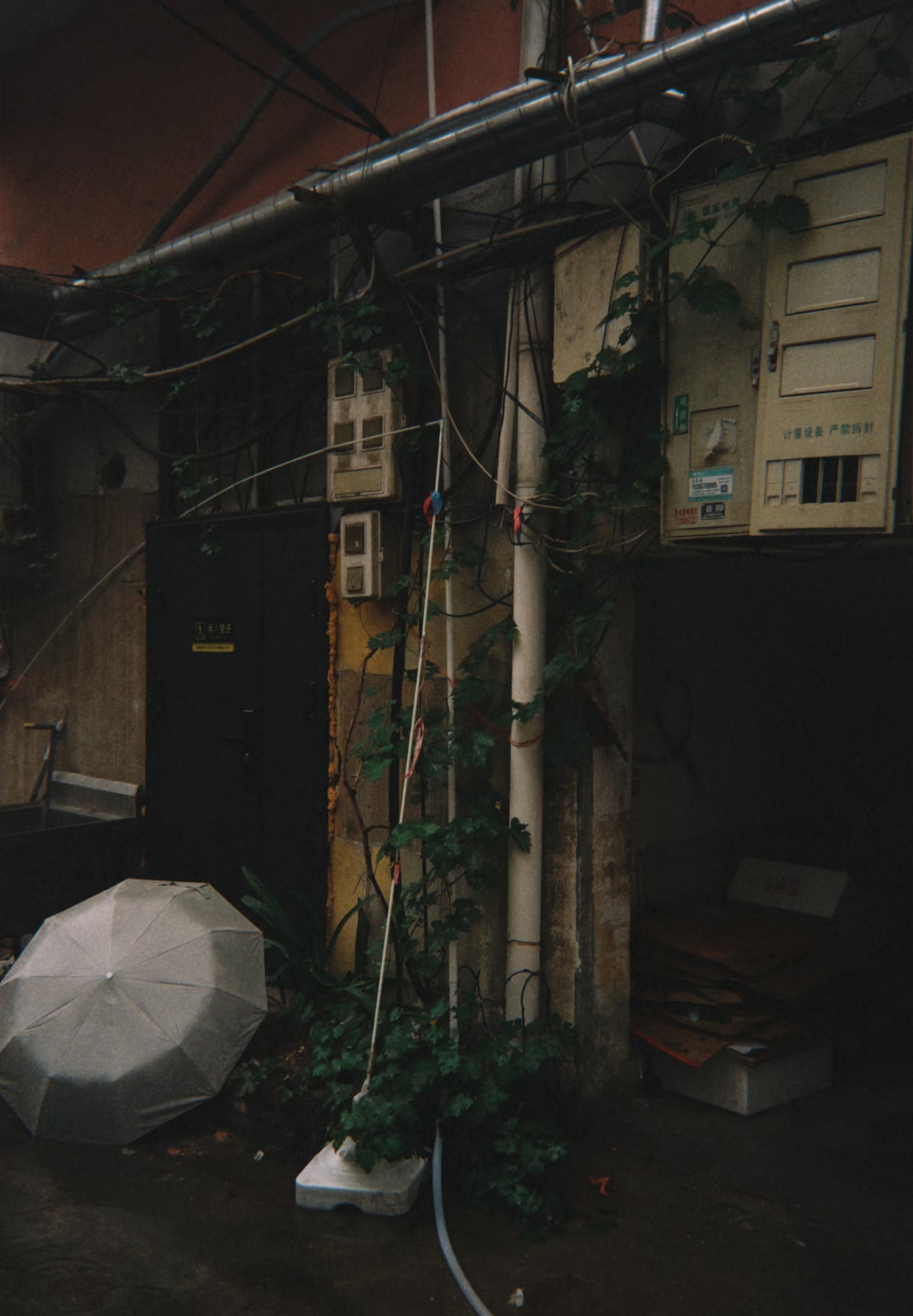 IMG_3401.jpeg