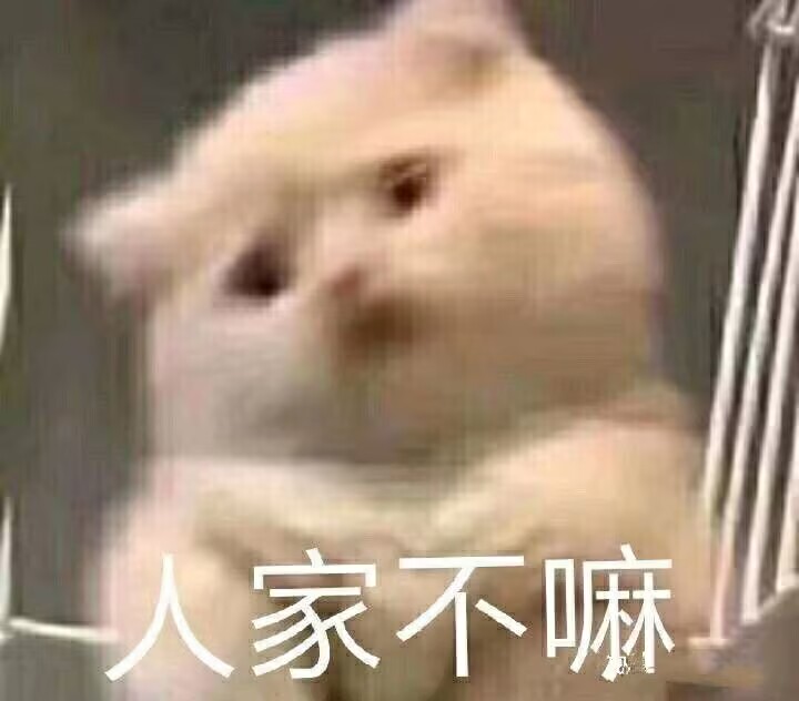 人家不嘛（小猫嘟嘴）.jpg