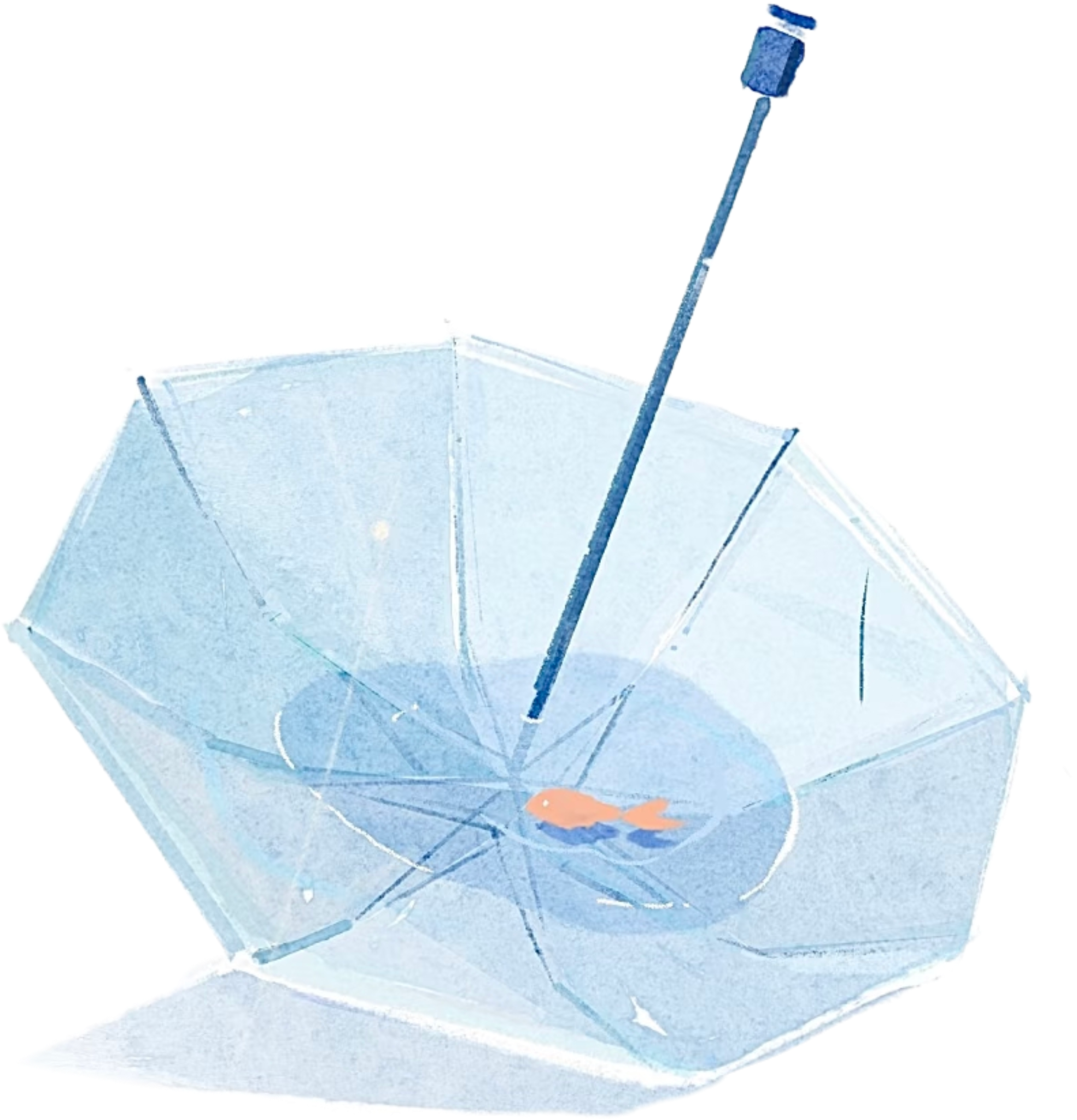 retouch_2026082612442918.png