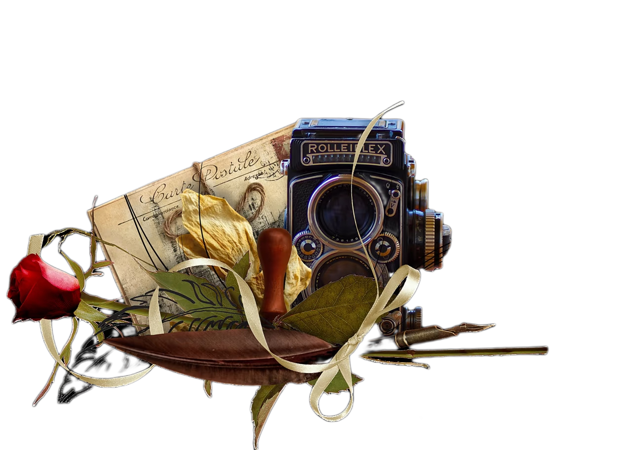 BgSub_Camera_1040g3k031fidnhp806105n8s54p49v4ab6vetjg.png
