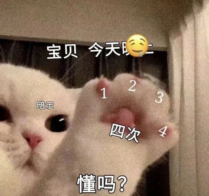 宝贝，今天（爱爱）四次，懂吗？（小猫举爪）.JPEG