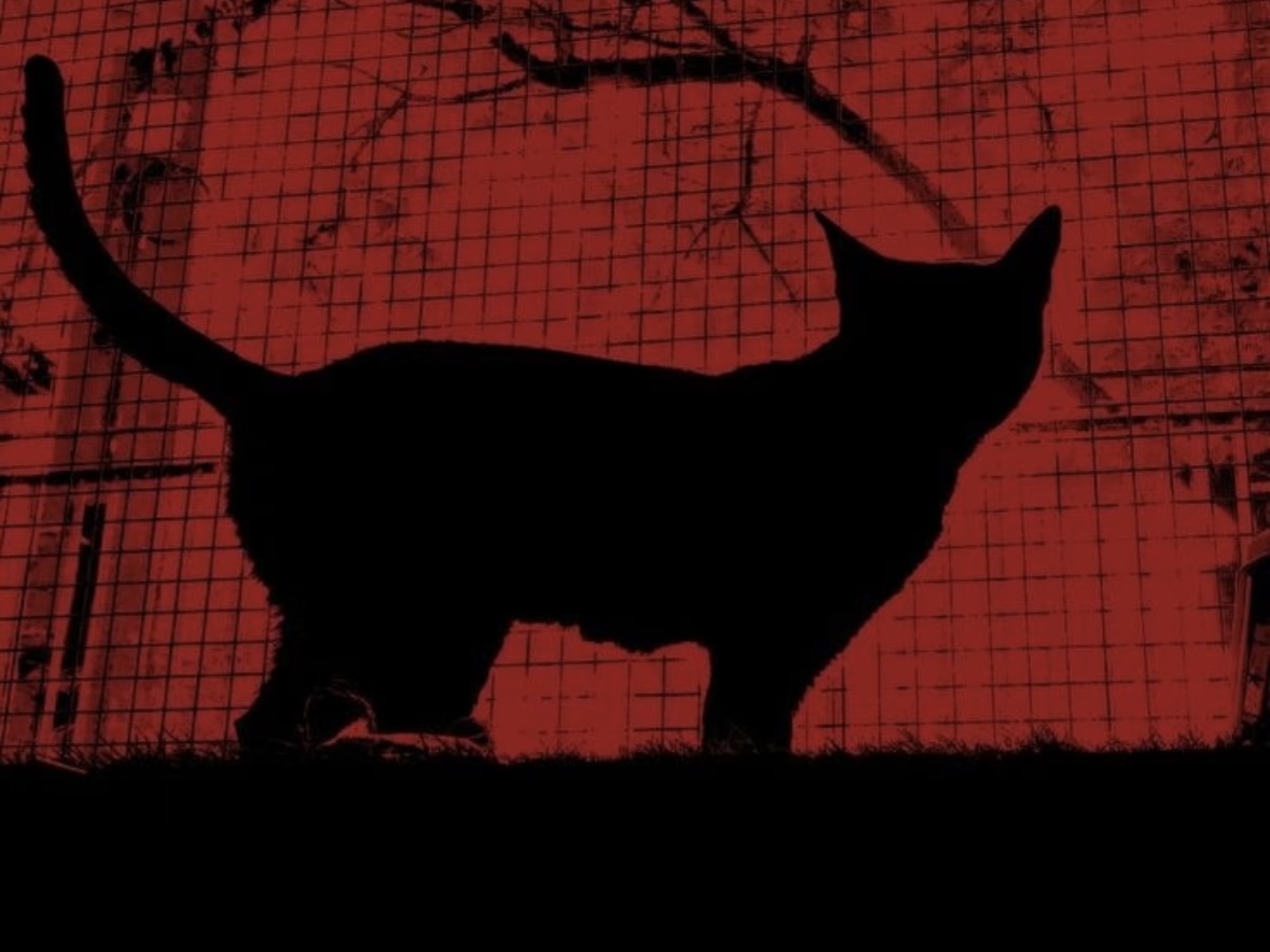 IMG_8502.jpeg