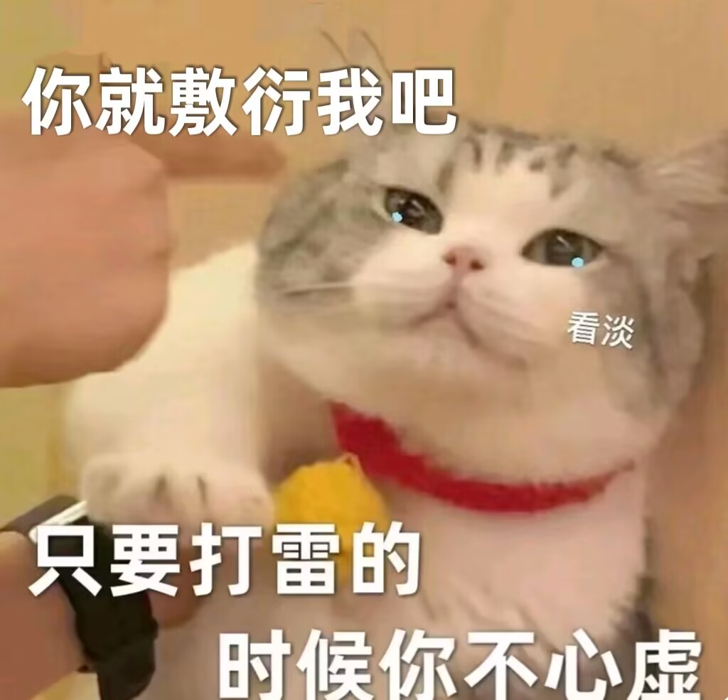 你就敷衍我吧只要打雷的时候你不虚心（小猫，一般是委屈巴巴的）.jpg