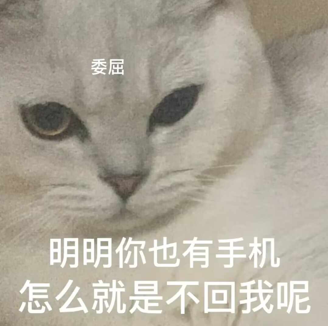 明明你也有手机怎么就是不回我呢（委屈小猫）.jpg