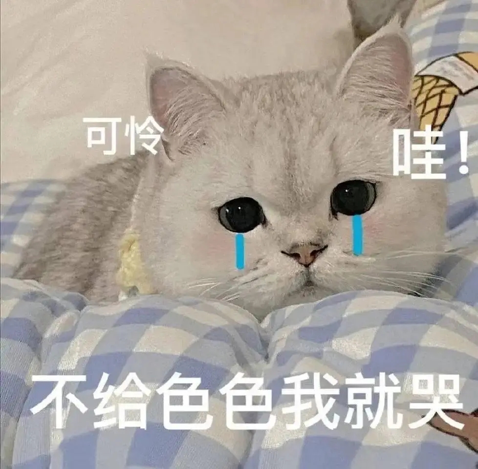 不给色色我就哭（可怜小猫掉眼泪）.jpeg