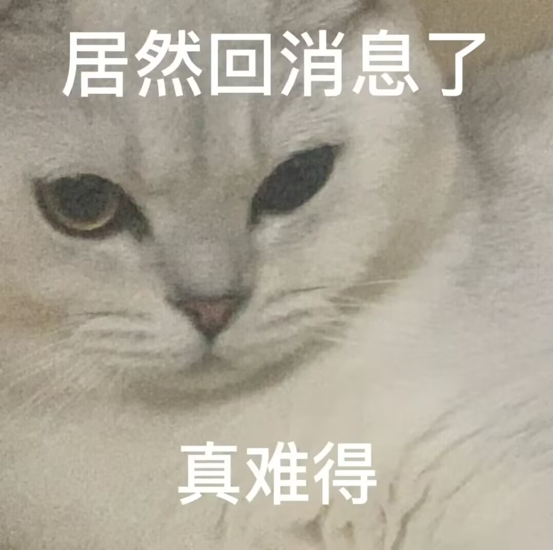 居然回消息了真难得（委屈但是阴阳小猫）.jpg