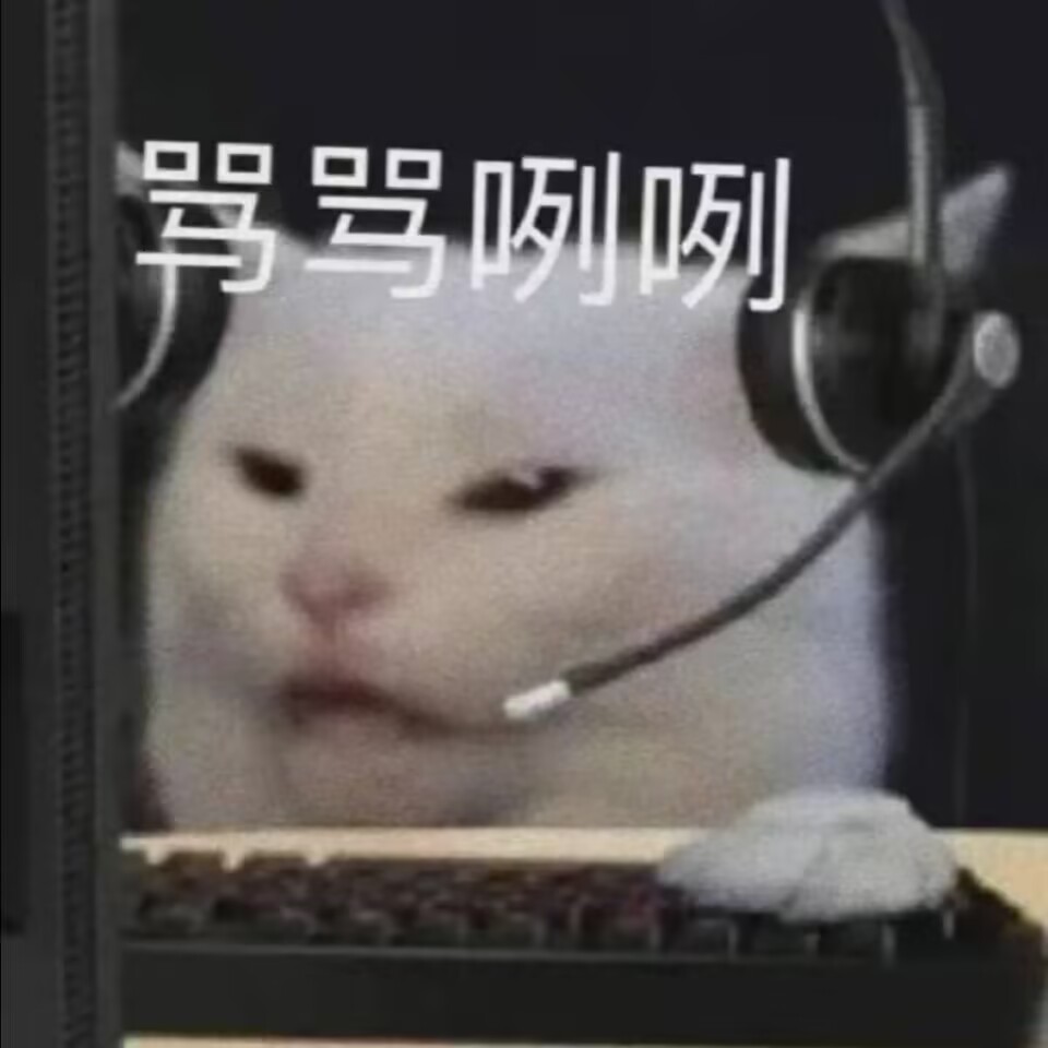 骂骂咧咧（小猫打游戏）.jpg