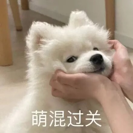 萌混过关（小狗）.jpg