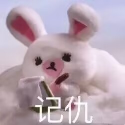 记仇（兔子玩偶拿本子和笔记东西）.jpg