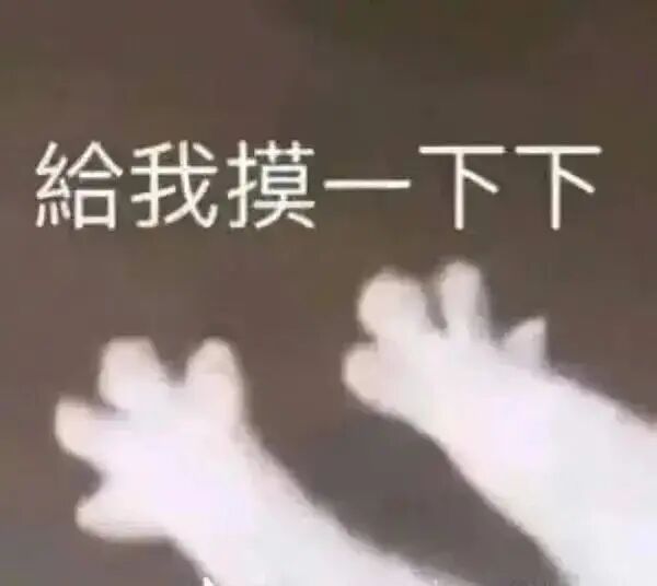 给我摸一下下（小猫伸爪子）.jpg