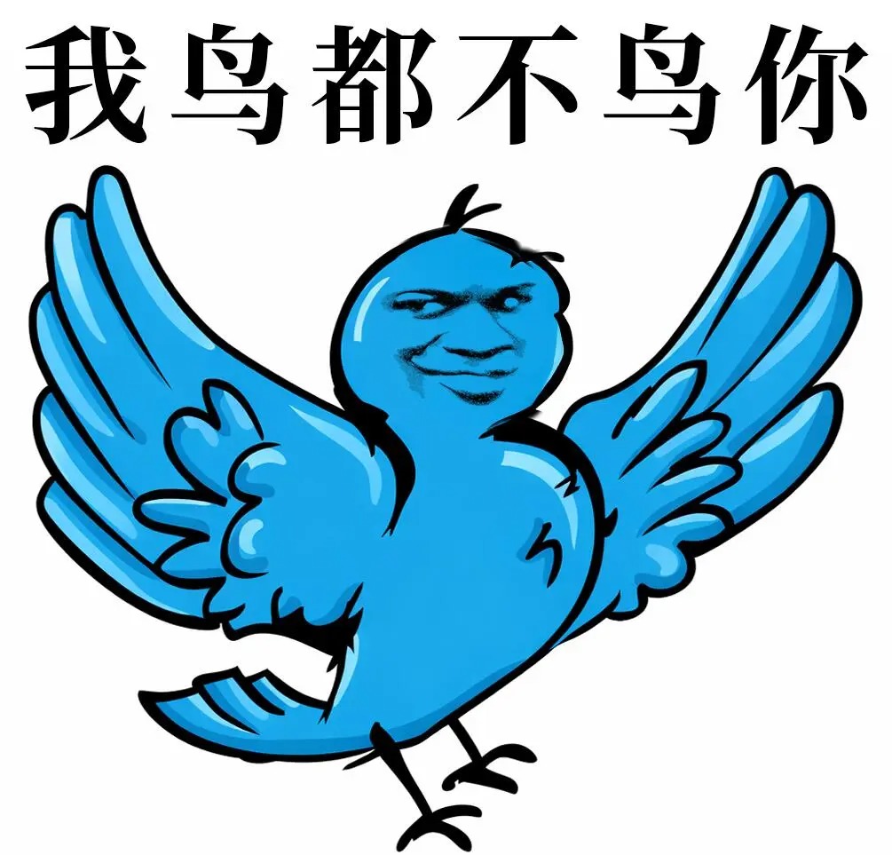 大合集｜你看我鸟不鸟你_1_Mist._来自小红书网页版.jpg