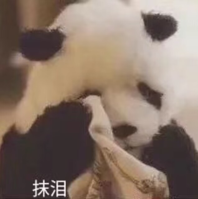 抹泪（熊猫）.jpg