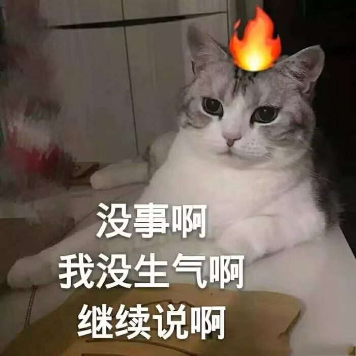 没事啊我没生气啊继续说啊（小猫面上冷静但是头上冒火）.jpg