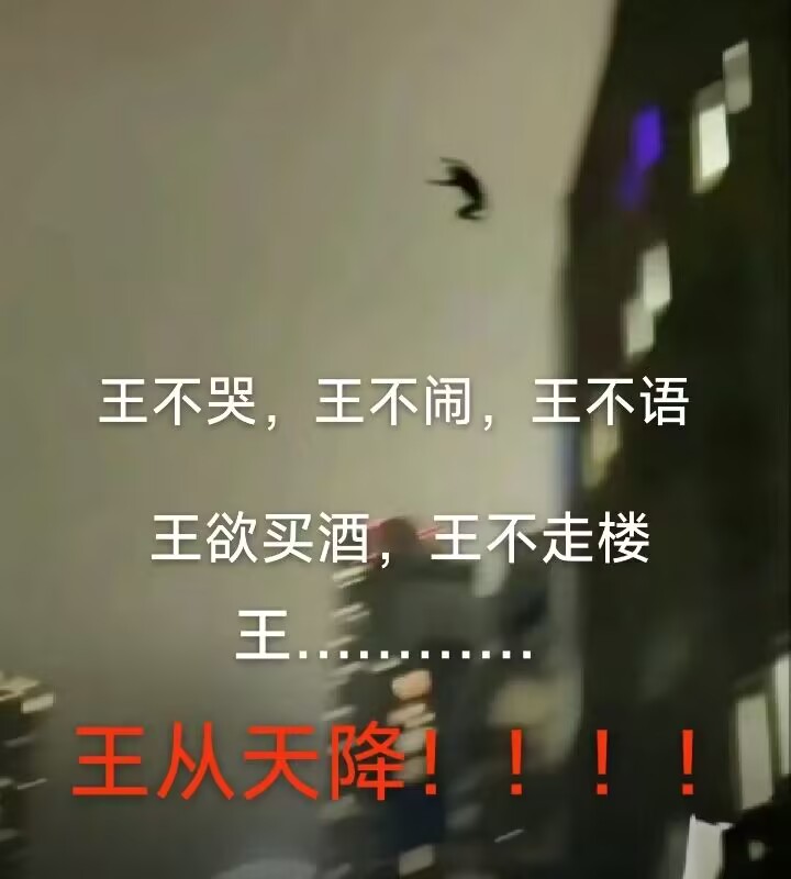 王不哭，王不语，王不闹，王欲买酒，王不走楼，王……王从天而降（一般是搞怪版痛苦要跳楼的意思）.jpg