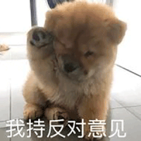 我持反对意见（小狗）.jpg