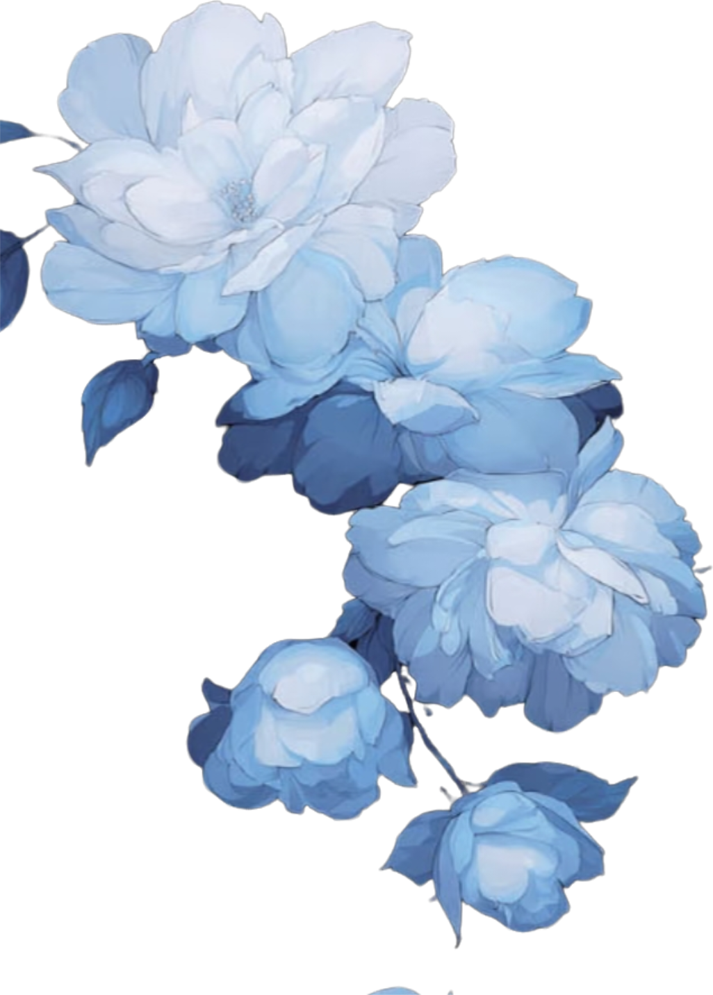 retouch_2026082715500814.png