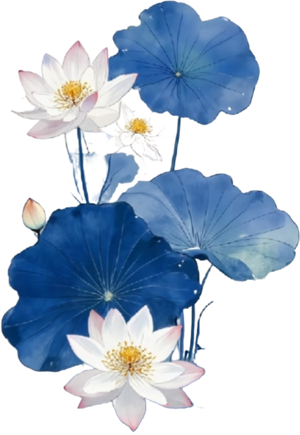 retouch_2026082715480379.png