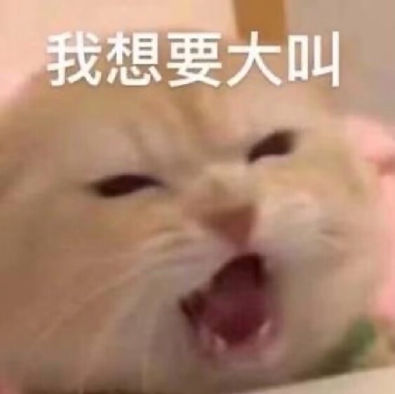我想要大叫！（小猫尖叫）.jpg