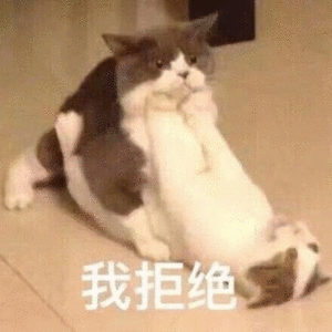 我拒绝（一只小猫推另一只小猫）.jpg