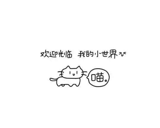 1000013011.jpg