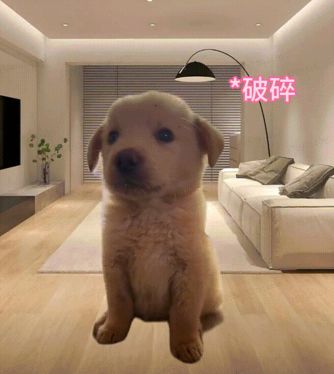20260827-093453.gif