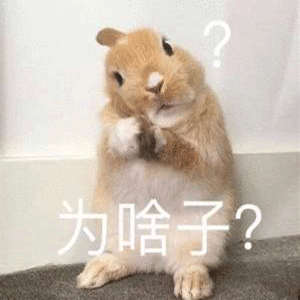 为啥子？（兔子）.jpg