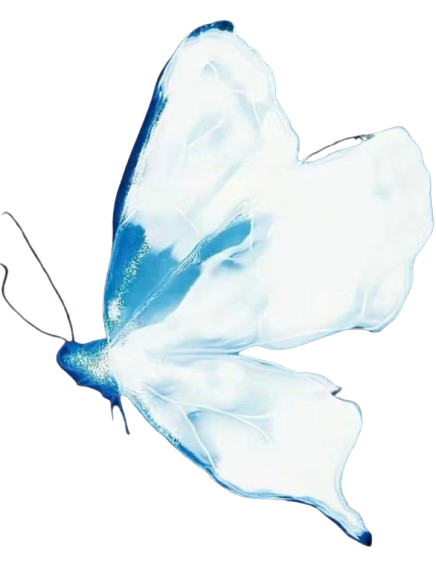 截圖_2026-08-27_15.17.07-removebg-preview.png